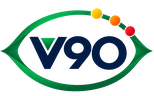 Vision 90